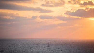 Photo of حالة الطقس: أجواء شديدة الحرارة