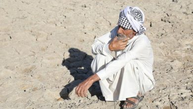 Photo of الجفاف و”الجلوة” يدفعان مئات العائلات لترك مناطقها وسط وجنوبي العراق