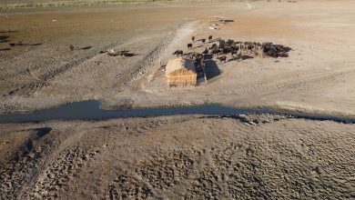 Photo of أزمة الجفاف بالصومال.. التكافل سلاح النازحين للبقاء