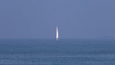 Photo of حالة الطقس: أجواء حارة