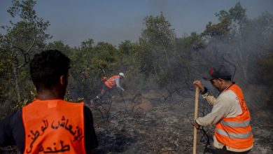 Photo of شاهد.. حرائق غابات تجتاح شمالي المغرب وتتسبب في مقتل شخص وإجلاء 1300 أسرة