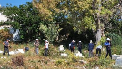 Photo of العشرات يشاركون في اليوم التطوعي لتنظيف مقبرة القسام