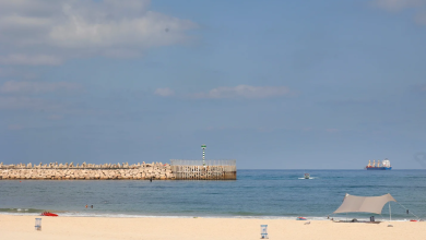 Photo of حالة الطقس: غائم جزئيا إلى صاف