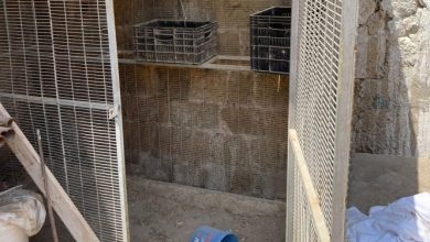 Photo of عكا: اتهام 5 أشخاص بالتنكيل برجل لرفضه العمل دون مقابل