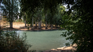 Photo of حالة الطقس: أجواء اعتيادية لمثل هذا الوقت