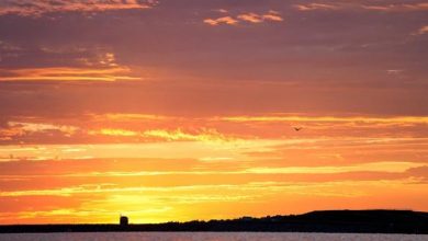 Photo of حالة الطقس: أجواء حارة نسبيا