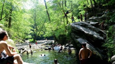 Photo of حالة الطقس: أجواء حارة نسبيا