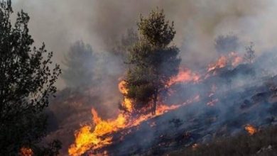 Photo of إعلام عبري: حرائق متعمدة تستهدف مستوطنات بالضفة الغربية