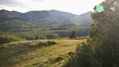 Photo of حالة الطقس: انخفاض طفيف على درجات الحرارة