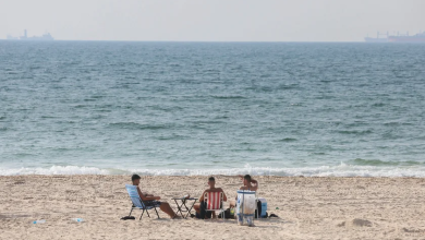 Photo of حالة الطقس: أجواء غائمة جزئيا وحارة