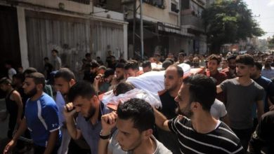 Photo of قطاع غزة: استشهاد وحيدَي والديهما أحمد ومؤمن النيرب ينكأ جرح العائلة النازف منذ 2014