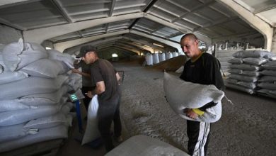 Photo of 5 سفن حبوب تغادر الموانئ الأوكرانية بينها أول شحنة تحمل مساعدات لأفريقيا