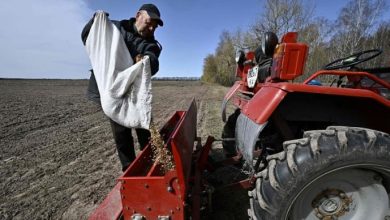 Photo of أسواق العالم فقدت نصف صادرات الغذاء الأوكرانية منذ بدء الحرب