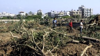 Photo of الاحتلال يستولي على عشرات دونمات الأراضي في “أبو ديس”