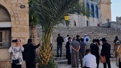 Photo of عشرات المستوطنين يقتحمون “الأقصى” بحراسة مشددة