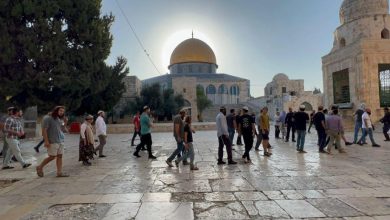 Photo of 1300 مستوطن يقتحمون باحات “الأقصى”
