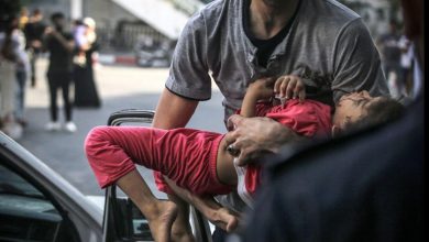 Photo of استشهاد 37 طفلًا منذ بداية 2022.. والمفوضية السامية تعرب عن قلقها