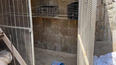 Photo of اتهام 5 أشخاص من عكا بخطف وابتزاز وضرب آخر