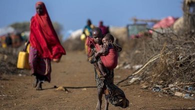 Photo of تقرير| الصومال.. تحذيرات رسمية وأممية من الانزلاق نحو المجاعة