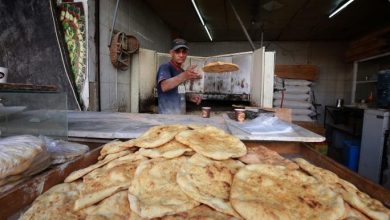 Photo of مخزون القمح في الأردن يكفي 15 شهراً وسط دعوات لتكثيف الزراعة