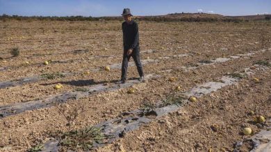 Photo of الجفاف يتربص بالأمن المائي في المغرب