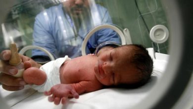 Photo of 388 وفاة.. قطاع غزة يُسجل 5145 مولودًا جديدًا خلال آب