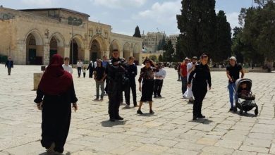 Photo of مستوطنون يقتحمون “الأقصى”.. وانتهاكات بداخله