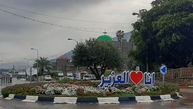 Photo of إصابة خطيرة لطفل جراء سقوطه عن حصان في بلدة العزير