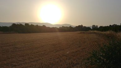 Photo of حالة الطقس: استمرار الأجواء الحارة نسبيا