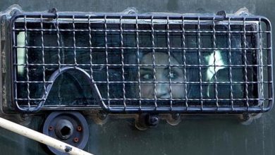 Photo of هيئة الأسرى: 17 ألف أسيرة في سجون الاحتلال منذ عام 1967