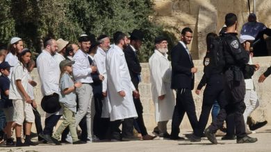 Photo of علماء ومفكرون: تصاعد العدوان ضد الأقصى يستدعي تحركًا عاجلًا من الأمة