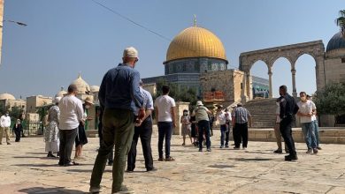 Photo of نفَّذوا جولات استفزازية في باحاته.. عشرات المستوطنين يقتحمون الأقصى من باب المغاربة