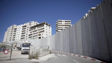 Photo of مستوطن ينهب أرضاً ويحولها متنزهاً جنوب نابلس