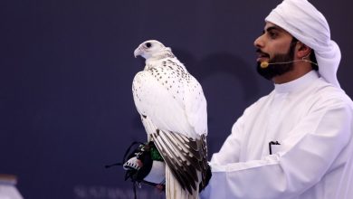 Photo of بمبلغ خرافي.. بيع الصقر “بيور جير” في معرض عربي