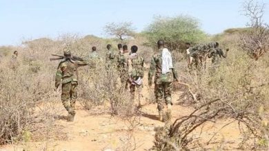 Photo of الجيش الصومالي يعلن مقتل 200 مسلح من حركة “الشباب”