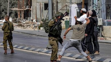 Photo of إرهاب المستوطنين: اعتداءات على الفلسطينيين وتدمير أملاك ومزروعات