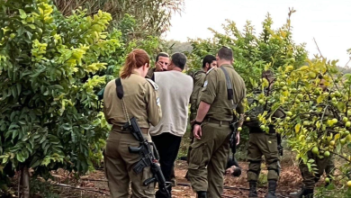 Photo of مقتل مصطفى مطلق من جلجولية بالقرب من قلقيلية