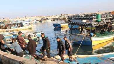 Photo of 3 جرائم للاحتلال بحق 4500 صياد في غزة.. “تدمير ممنهج”