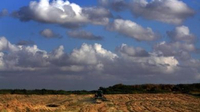 Photo of حالة الطقس: انخفاض ملموس على درجات الحرارة