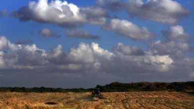 Photo of حالة الطقس: غائم جزئيا مع فرصة لأمطار محلية