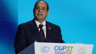 Photo of “العفو الدولية”: مصر فشلت في تجميل وجهها بقمة المناخ