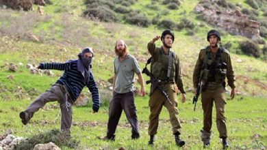 Photo of بعد اعتقال زوجها وابنيها.. أم بلال ربعي.. “عمود البيت” وحامية الأرض من المستوطنين