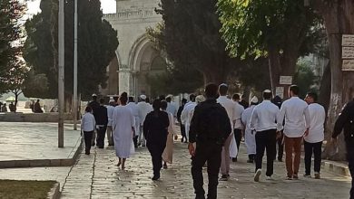 Photo of عشرات المستوطنين يقتحمون الأقصى وينفذون جولات استفزازية في باحاته