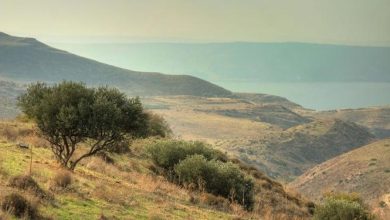 Photo of حالة الطقس: أجواء لطيفة وصافية