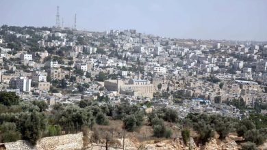 Photo of مستوطنو “تل الرميدة”.. جرائم تتصاعد يقابلها صمود أسطوري