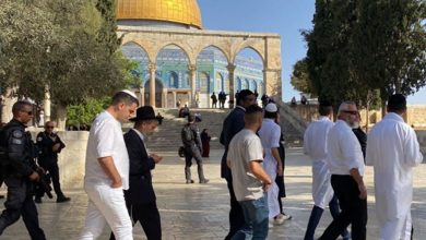 Photo of 24 اقتحامًا للأقصى و73 منعًا للآذان بالمسجد الإبراهيمي بأكتوبر