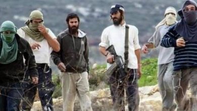 Photo of مستوطنون يعيدون بناء بؤرة قديمة بالخليل ويسرقون تمار الزيتون بسلفيت