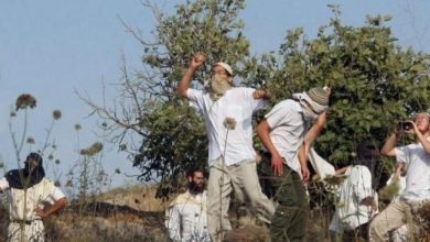 Photo of مستوطنون يهاجمون نسوة يقطفن الزيتون في نابلس