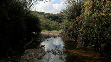 Photo of حالة الطقس: غائم جزئيا إلى غائم وانخفاض في درجات الحرارة