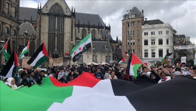 Photo of في هولندا.. فلسطينيون يكافحون لنقل هم وطنهم رغم سطوة اللوبيات